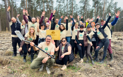 fotele masujace rest lords wspolnie dla natury 2026 Od 5 lat – FoRest Lords Wspólnie dla Natury – posadziliśmy już 10 000 drzew!